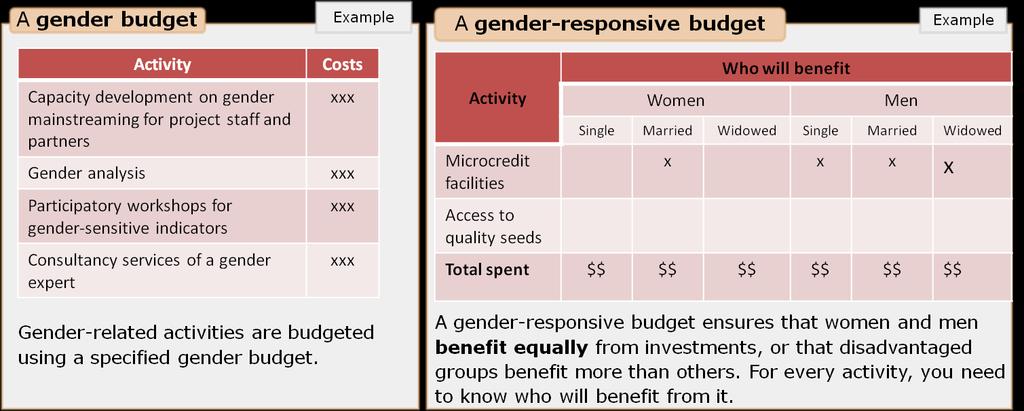 GENDER-RESPONSIVE BUDGETS What about the budget? The budget reflects the priorities of the project in terms of the amount of money spent on different activities.