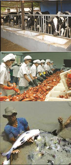 fishery production, to face
