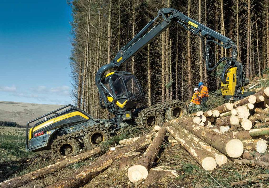 UK Timber Industry The UK timber industry contributes significantly to the domestic economy, directly and indirectly.