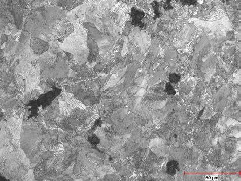 graphite carbides ferrite graphite graphite 5 C/min. 1 C/min. Figure 8. Effect of cooling rate from 1166 to 1140 C on microstructure of sintered specimens made with MIP (Nital etching; 500X).