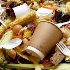 Compostable Packaging Postharvest packaging derived from
