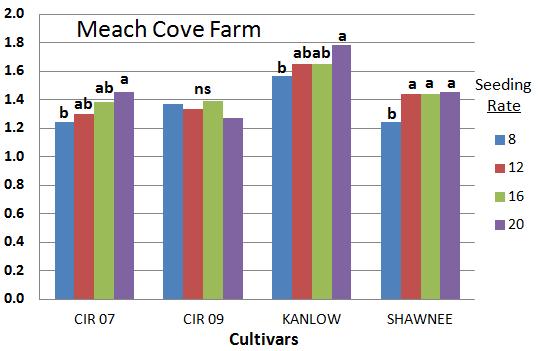 Meach Cove farm. Yield did not always correlate with plant populations (Table 3) since plants would compensate in weight at lower populations. Figure 6.