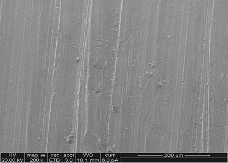 Graph 1: Phase analysis of HAP on SS316L 5.2 SEM images and XRD pattern of Ti-6Al-4V material Figure.4 shows the scanning electron micrograph image of Ti-6Al-4V before coating.