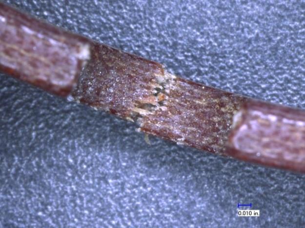 being torn and frayed, indicating signs of ductile failure instead of brittle failure. The phenolic did not have a smooth failure plane, which is typical of most brittle failures.