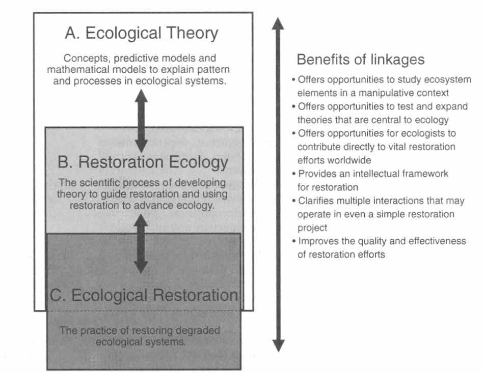 Restoration ecology vs.