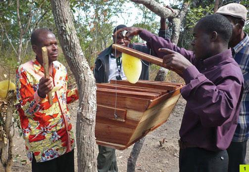 Traditional African Beekeeping Much of it is small-scale Often in