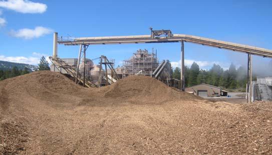 Woody Biomass Utilization for Power/Heat Woody Biomass