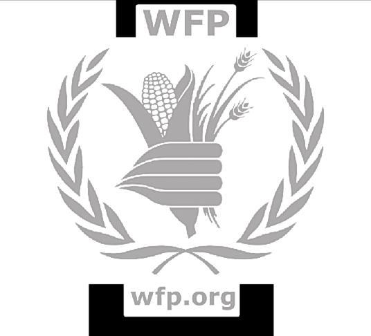 WFP CORPORATE RESULTS FRAMEWORK (2017 2021) FIRST DRAFT