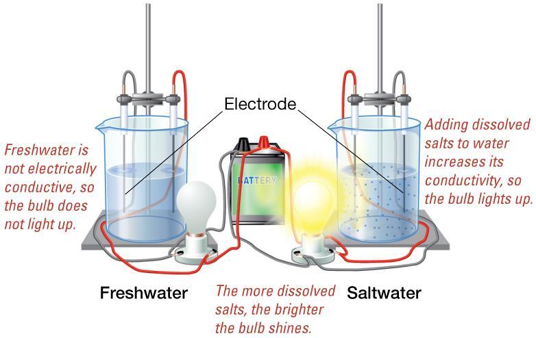 Determining Salinity Salinometer Measures water s electrical conductivity More dissolved substances increase conductivity Determining Salinity Principle of Constant Proportions Chemical