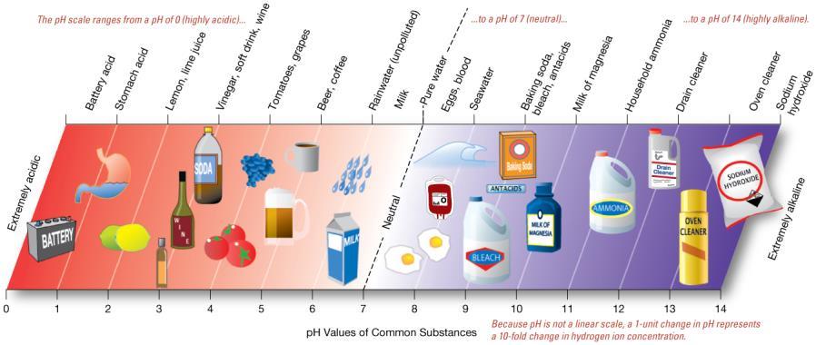 ph Scale and Common Substances Measures hydrogen ion concentration