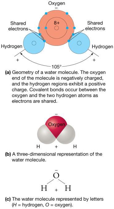 shared electrons Smallest form of a substance Water molecule Strong covalent bonds between two hydrogen (H)