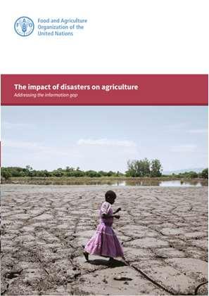Upcoming FAO report Overview A clear understating of disaster impact on the sector is crucial for effective DRR policy, targeting investment and strengthening resilience However, the impact of