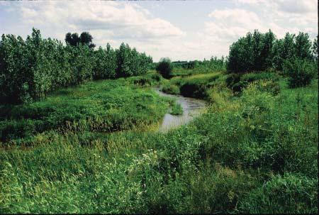 Page 6 Grassed Waterways Definition: Areas planted to grass or other permanent vegetative cover where water usually concentrates as it runs off a field.