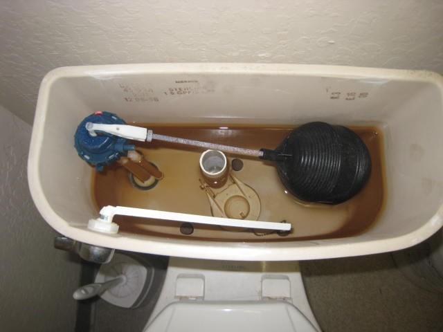 Perform a Toilet Tank Inspection Unless your it is new or has recently been cleaned, your toilet flush tank can be a wealth of useful water quality information! Simply lift the cover and look in.