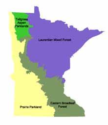 ) Minnesota s Four Provinces Prairie Parkland about 16 million acres Tallgrass Aspen Parklands about 3 million acres Eastern Broadleaf Forest about 12 million acres Laurentian Mixed Forest about 23