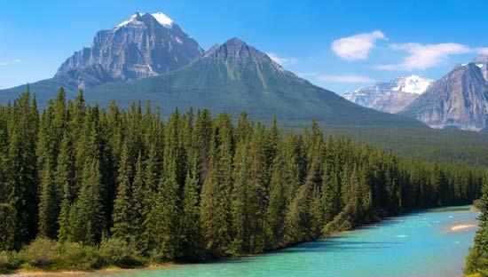 DID YOU KNOW...? Canada is a world leader in sustainable forest management.
