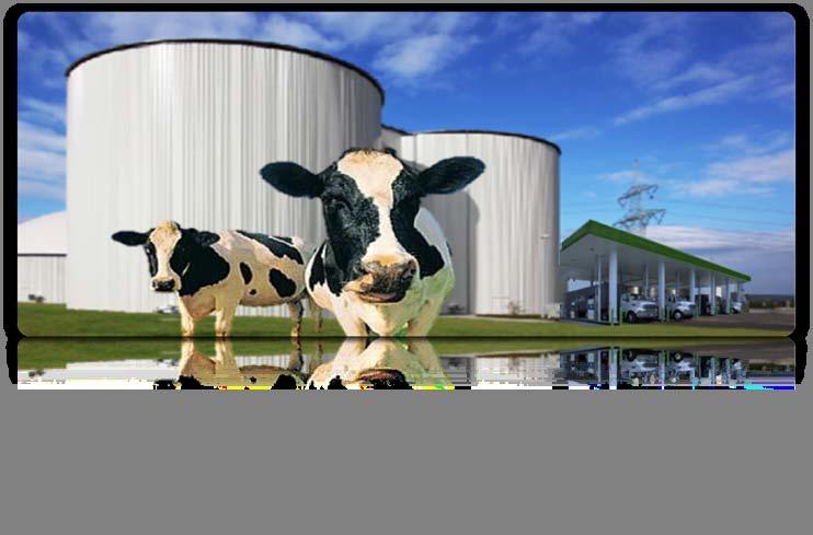 Congressional Biomass Caucus Briefing: Biogas Biogas Solutions for America