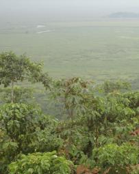 (Photo: Charles L Malingu) Most of the traditional cropland in Rakai District is fairly flat.