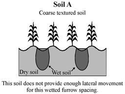 Furrows are narrow field ditches, excavated between rows of plants and carrying water