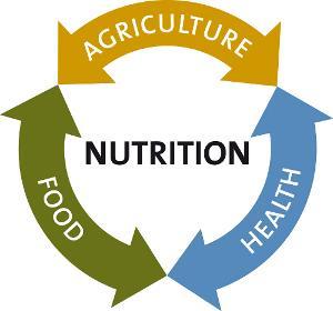 Nutrition Sensitive Agriculture Programming