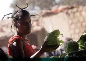 FAO action for gender equity in employment and livelihoods Worldwide, the processing of vegetables, flowers, shrimp, pigs and poultry is carried out mainly by women.