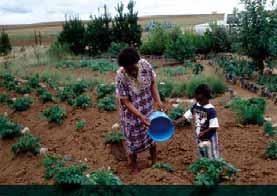 FAO action for gender equity in food security and nutrition malnutrition and micronutrient deficiencies.