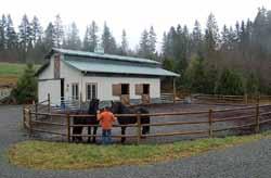 A sacrifice area can vary from the size of a generous box stall, about 16' x 16', to that of a long, narrow enclosure where the horse could actually trot or