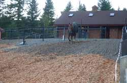 If you want your horse to be able to run or play in his paddock an enclosure of about 20' or 30' wide by 100' long is needed.