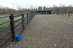 Horses are hard on fences and will test most types. They tend to have more respect for electric fencing.