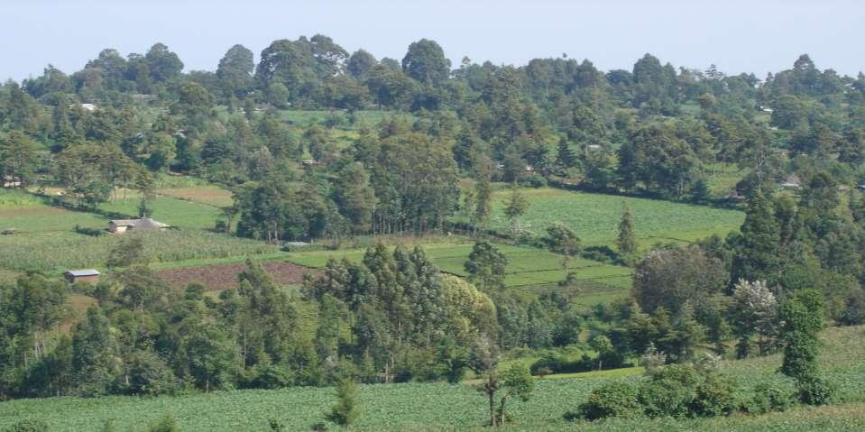 Kenyan Farmlands: Bold policy to achieve >10% tree cover