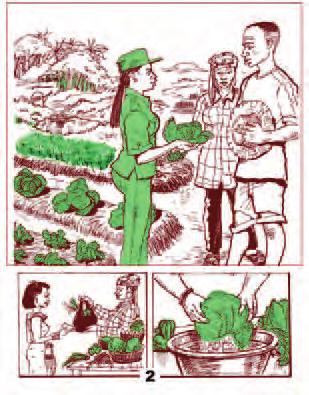 We recommend using this guide together with the FAO Farmer Field School handbook shown below (www.fao.org).