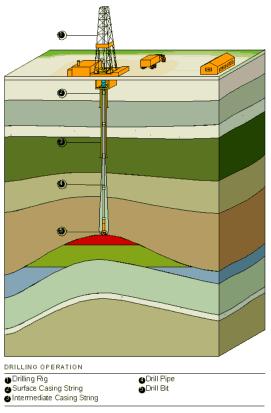 Exploration- drilling Seismic can tell us that a structure is present but drilling a