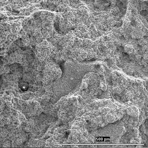 Some cavities were observed on the fracture surface of this specimen, especially along previous austenite grain boundaries (Fig. 3).