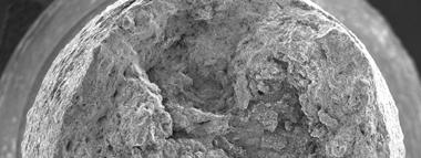 detail of the central part. SEM micrographs. a b Fig. 3.