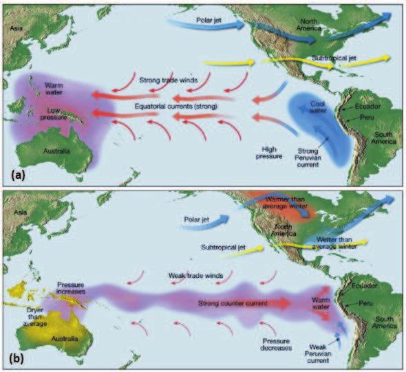 Fig 1: Wind circulation pattern over Pacific ocean during a) normal s andb) s 1.2 episodes and south- west monsoon rainfall India receives about 1180 mm of rainfall annually.