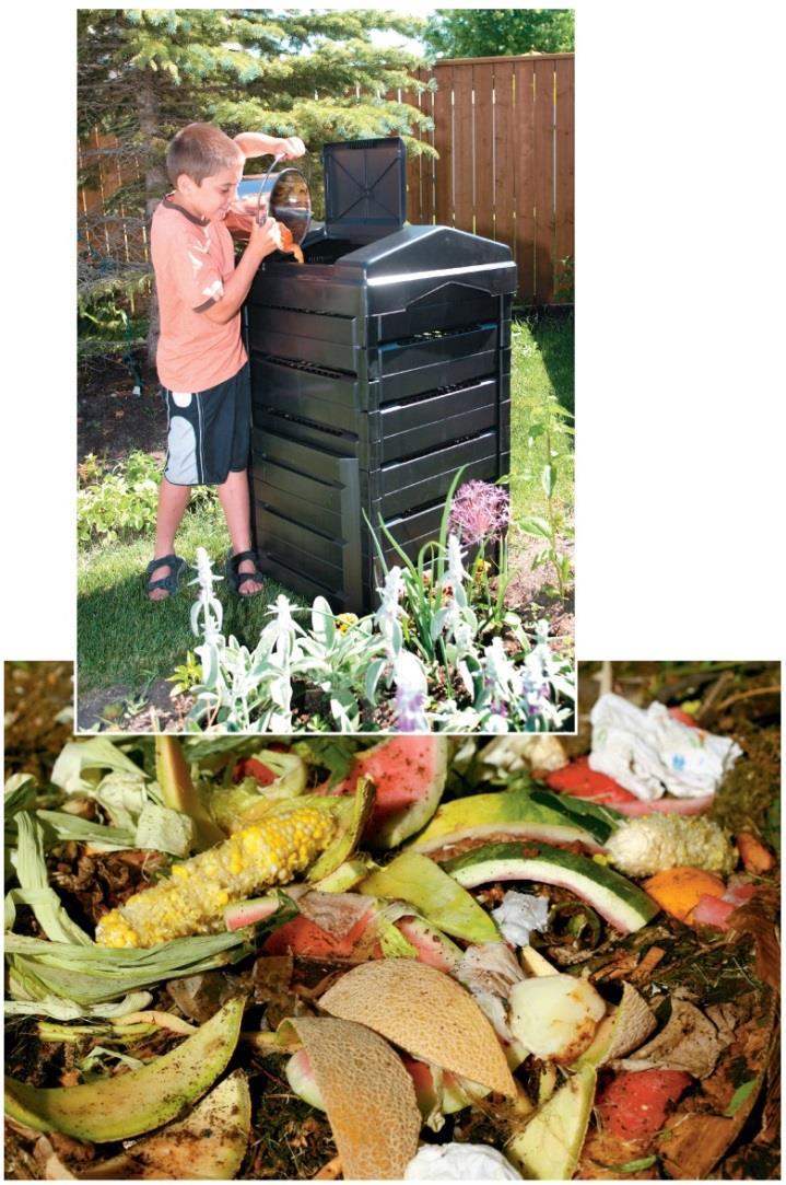 Municipal and Backyard Composting (continued ) Backyard composting Leaves, grass, kitchen wastes Meats, fats not recommended Attract rodents, other pests Often, some soil and water added Inside of