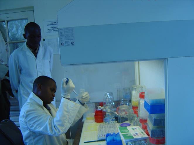 Capacity has now expanded from 3 a few years ago to 7 fully functional and equipped laboratories