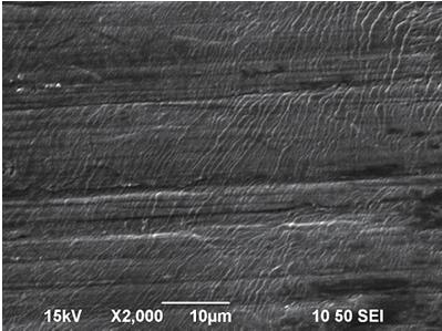 These line patterns were transferred from the surface of the stainless steel, and no Cr or Fe was detected there.