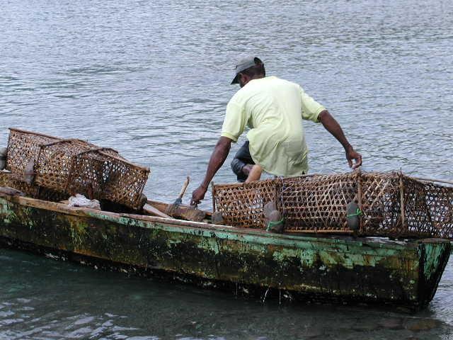 Despite these enormous strides in the region to address EAF, CCA, and DRM in small scale fisheries, there are several issues, and challenges to be addressed for effective mainstreaming.