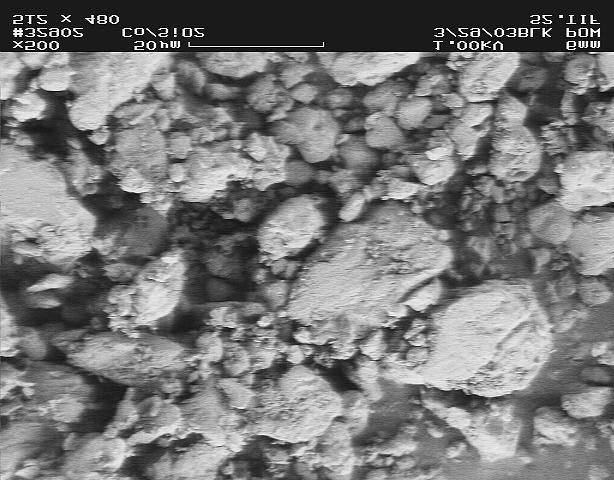 SEM picture of the Sulfur