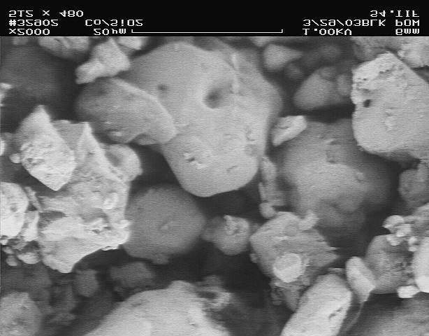 SEM picture of the Sulfur