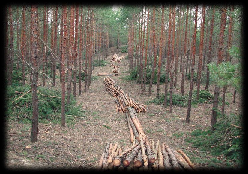 types of felling timber harvesting volume - 18.