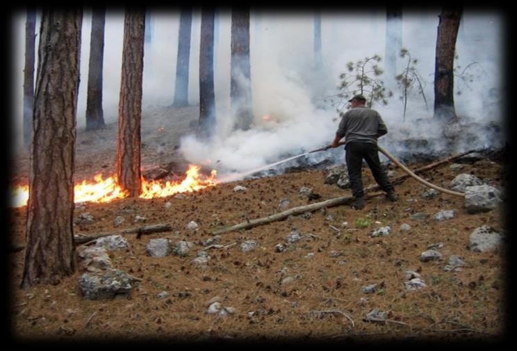 9 fire protection of forests - 476