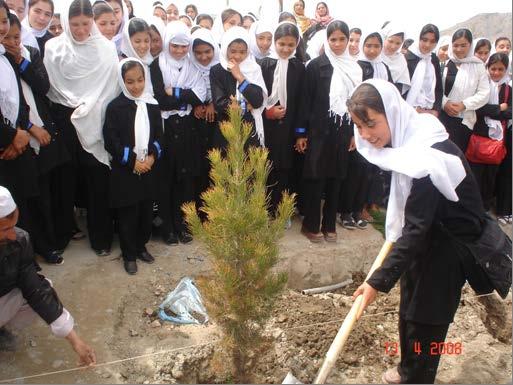 Where to plant trees, and who will plant and maintain them? (con) In mosques and shrines.