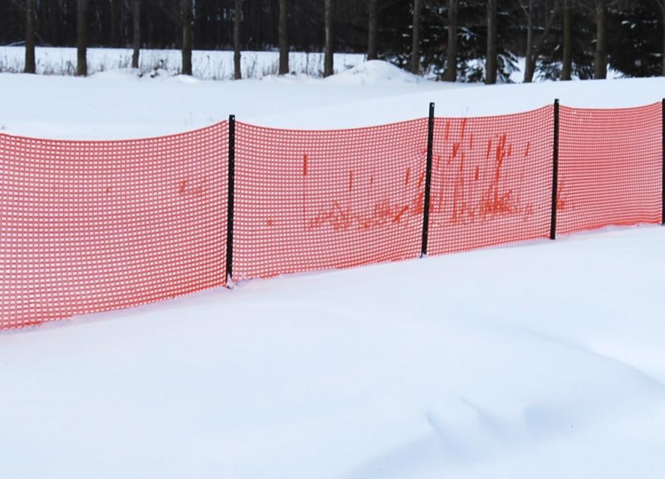 Constant over time Living Snow Fences Some years after planting