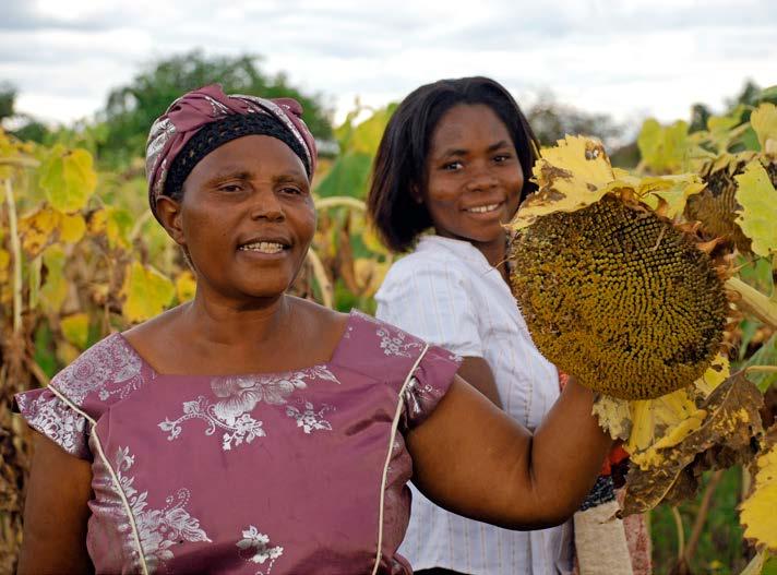 Jane Carter CONTRACT FARMING IN TANZANIA S CENTRAL CORRIDOR