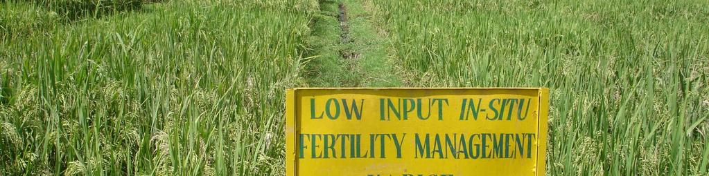 Production potential of crops under natural, organic, integrated and inorganic fertility management under raised and sunken beds: Among raised bed crops in pre-kharif season,