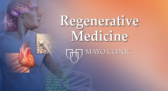 Bone Marrow Derived Adipose Derived Center for Regenerative Medicine Same Day Concentrated (BMAC) Culture Expanded Same Day - Enzyme or Mechanically Prepared Clinical Science Basic Science