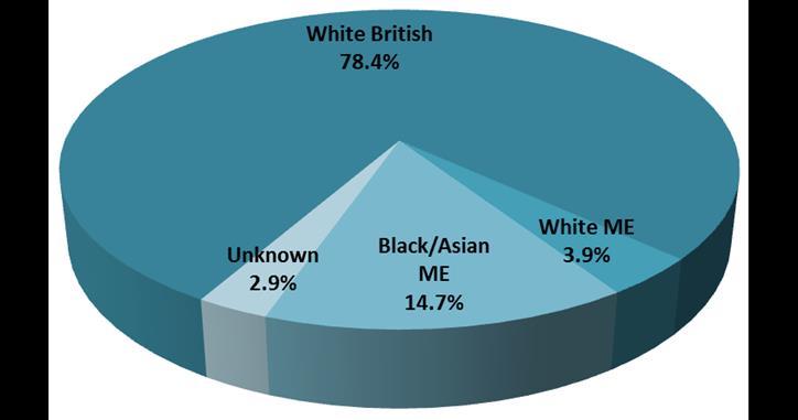 25 % of employees from Black and Asian Minority Ethnicities (BAME) and 3.56% from White Minority Ethnicities (WME). The amount of unknown data for race is 1.