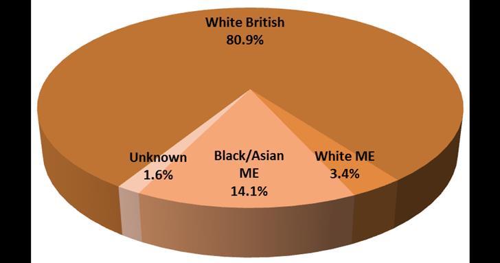 This includes 14.7 % of employees from Black and Asian Minority Ethnicities (BAME) and 3.9% from White Minority Ethnicities (WME). The amount of unknown data for race is 2.